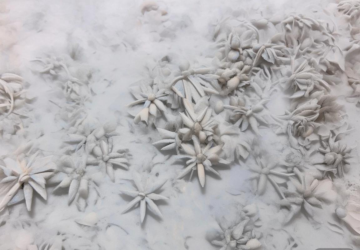 2015年NBA焦点战：雷霆力克魔术，双星闪耀创辉煌